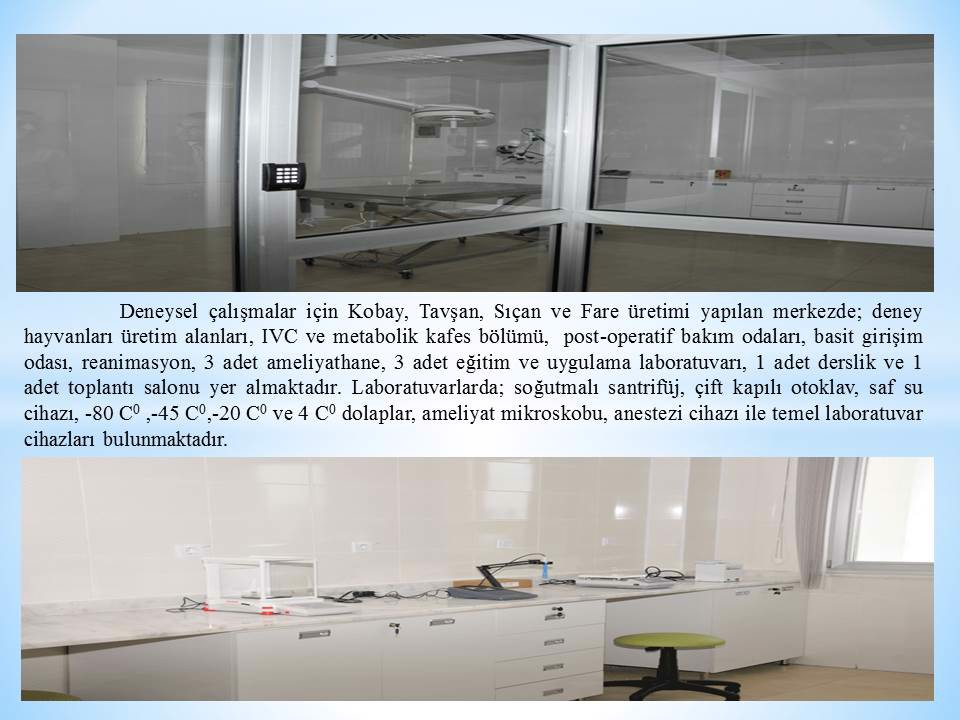 FOTO GALERİ
